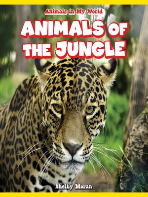 cover image of Animals of the Jungle